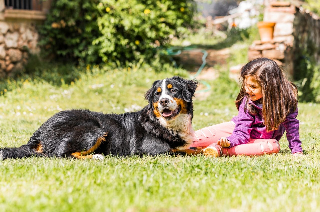 Bite Prevention and Child Safety: "BE A TREE ...