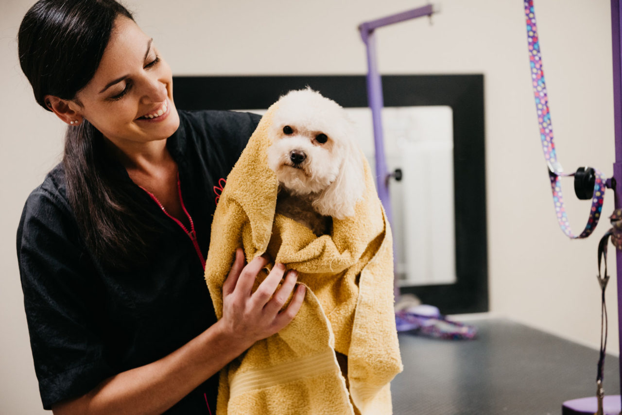 Veterinary Careers in London, Ontario Neighbourhood Pet Clinic