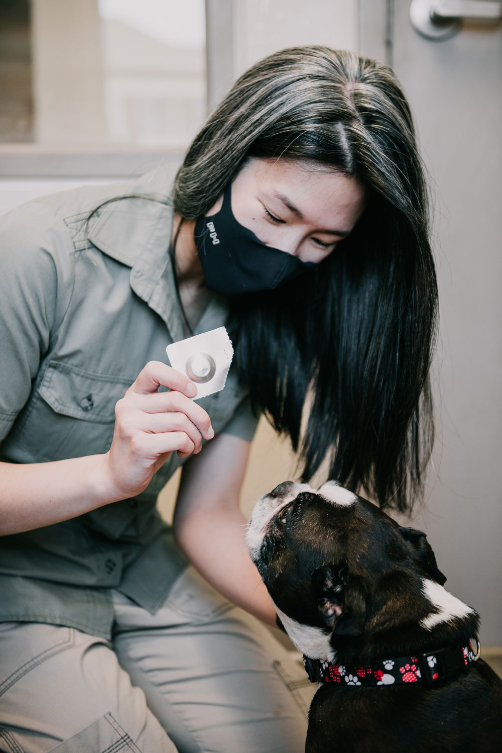 COVID Test Neighbourhood Pet Clinic