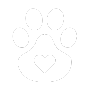 pet wellness icon