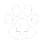 pet diagnostics icon