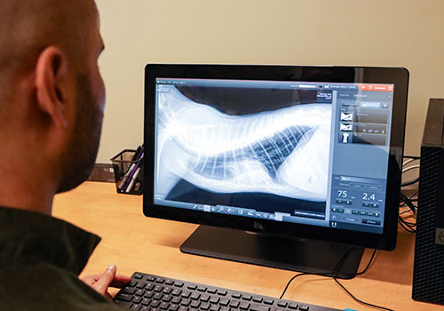 Radiology 
