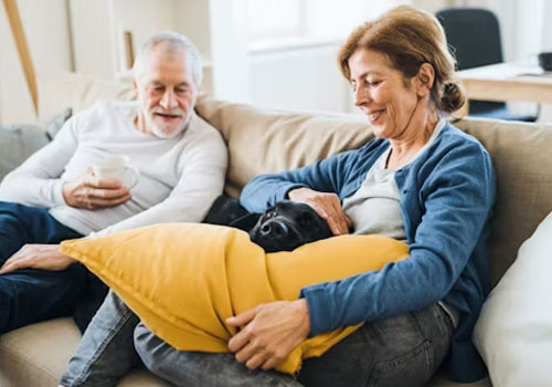 pet-with-family