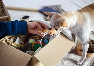 Never Miss Your Pet's Delivery again