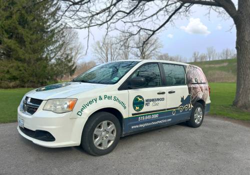 delivery-van delivery-van