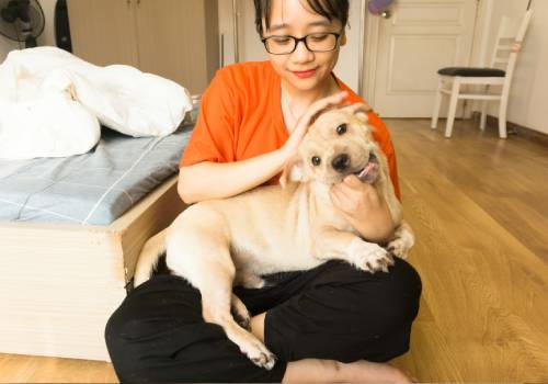 dog with a lady