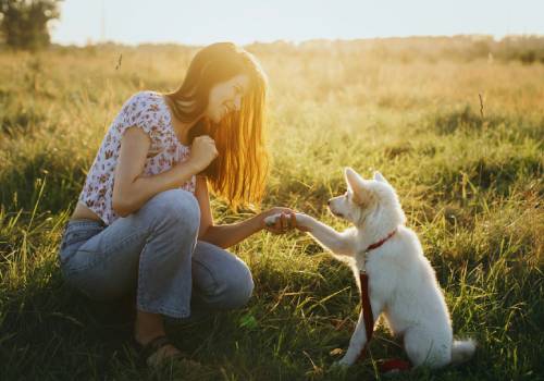pet with the girl outside