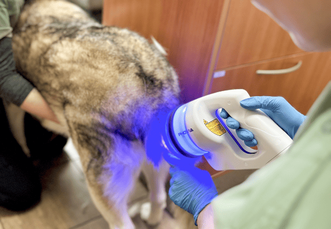 phovia treatment