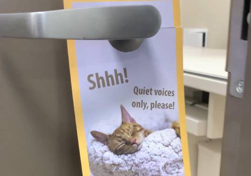 Full-Service Veterinary Care