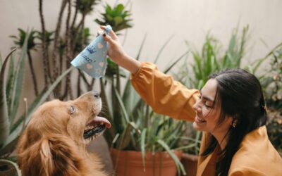 Pet-Friendly Hotels in London, ON