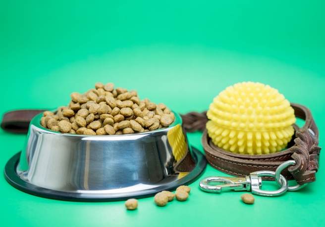 Pet supplies