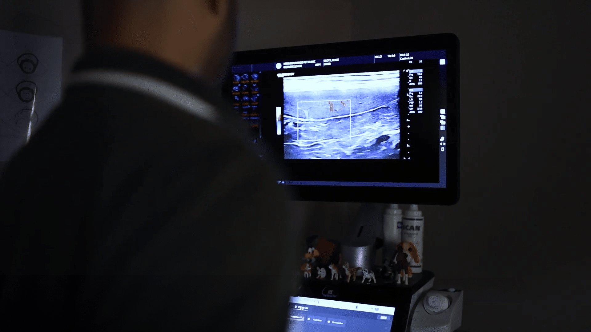 Pet getting ultrasound